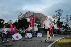 BIB: 
                            <button type="button" onclick="openModal(26529450)" class="btn btn-primary btn-sm float-right btn-popup" data-toggle="modal" data-target=".modal-high-quality">
                        <i class="fas fa-shopping-cart"></i> Add to Cart
                    </button>
                                            <button type="button" onclick="isThisMe(26529450, true)" class="btn btn-success btn-sm float-right btn-popup btn-isme hidden" data-toggle="tooltip" data-placement="bottom" title="นี่คือรูปของคุณใช่ไหม คลิกที่นี่เพื่อเอาเข้าอัลบั้ม">
                        <i class="fas fa-plus"></i> Add to album
                    </button>
                    <button type="button" onclick="isThisMe(26529450, false)" class="btn btn-warning btn-sm float-right btn-popup btn-isnotme hidden">
                        <i class="fas fa-ban"></i> Remove from album
                    </button>